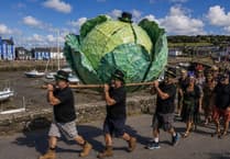 PETA want Aberaeron to change Mackerel Fiesta to cabbage