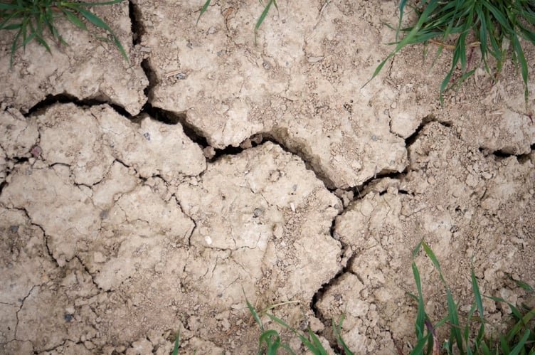 drought dry land