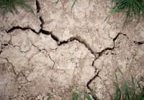 Mid and west Wales drought deepens as counties brace for more heat