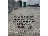 Barmouth council issues for dog fouling warning