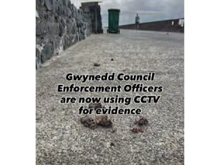 Barmouth council issues for dog fouling warning