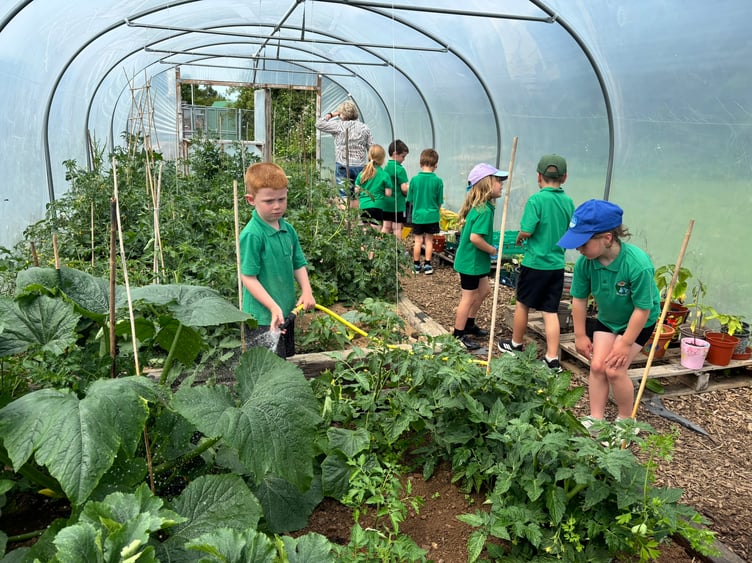 Pupils in the new polytunnel