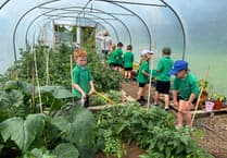 Ceredigion school wins Eco-Schools Platinum Award