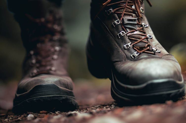 Join Meirionnydd Ramblers for their latest walks