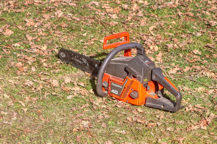 Cutting down trees on your property might not be straightforward.