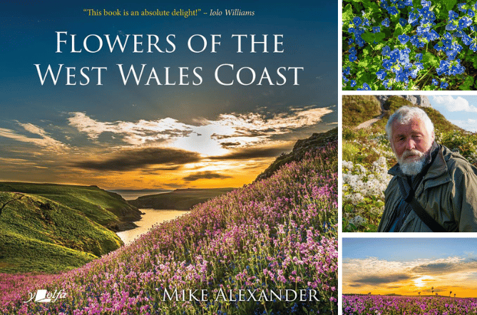 Mike Alexander, his new book, and examples of his beautiful photography
