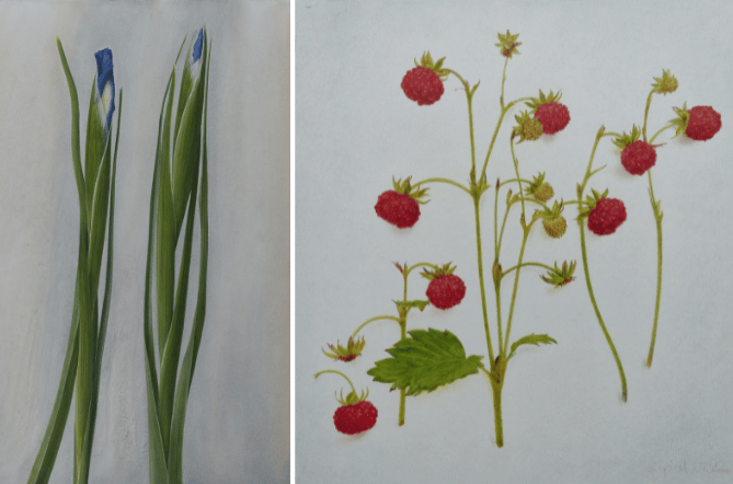 Examples of work by exhibiting artist, Sigrid Müller