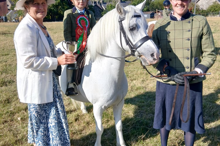 Llanddewi Brefi Show