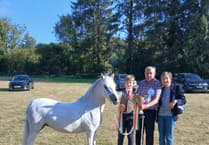 Sun shines on successful Llanddewi Brefi Show
