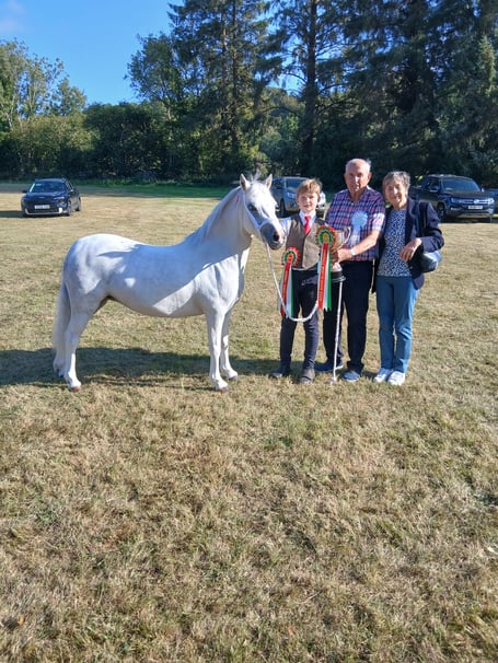 Llanddewi Brefi Show