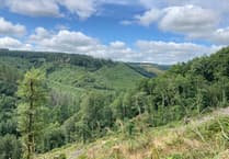 West Wales wind mast plans approved