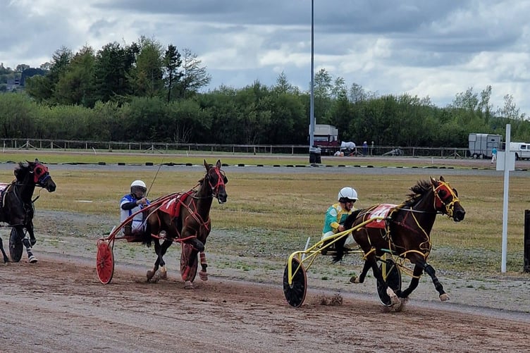 Money Talks non winner race