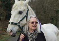 Gillian Clarke to headlines Cardigan Poetry