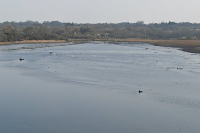 A view of the River Teifi