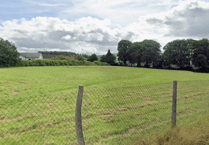 Plans for nine new homes and cycle track in Lampeter
