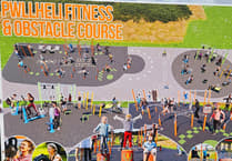 Pwllheli's skate park to become a gym?