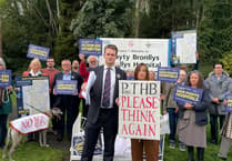 Powys health changes would have 'considerable up-front costs'