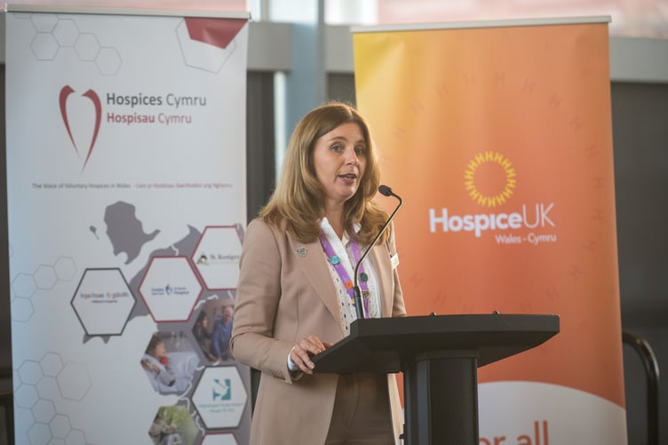 15.09.26 - Cross Party Group on Palliative and Hospice Care, The Senedd, Cardiff - Dr Liz Booyse, Hospice Cymru and City Hospice