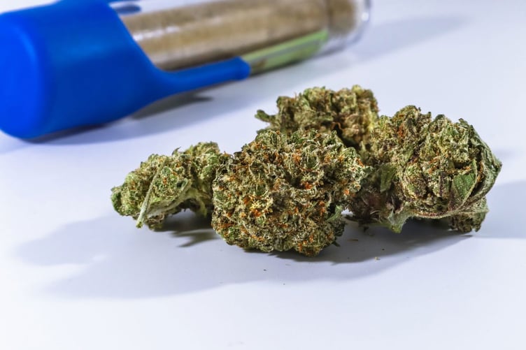 medical cannabis