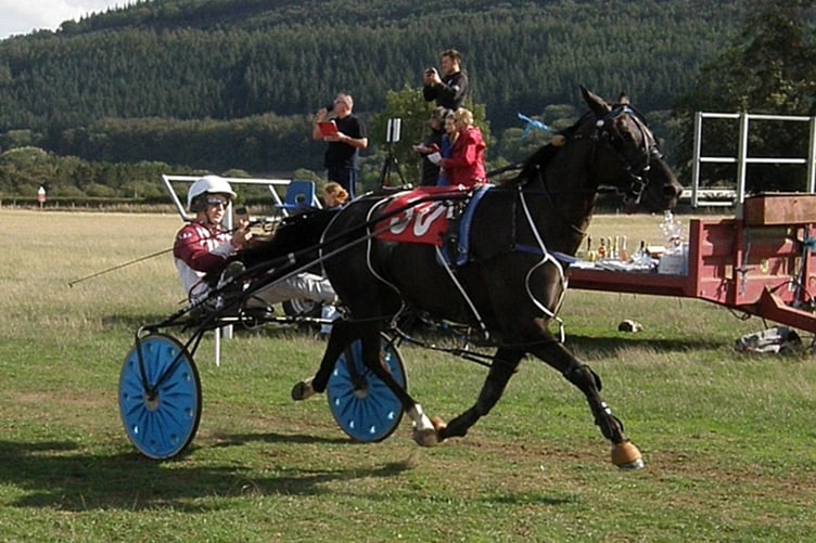 Grade A winner Fold Megastar
