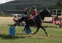 Charity finale brings curtain down on harness racing season