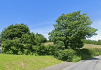 Plans for nine affordable homes in Comins Coch