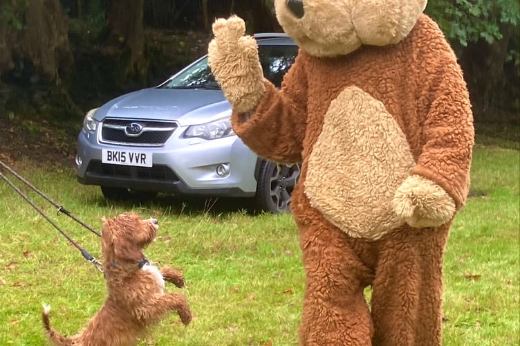 A bear and a dog make friends at Abergynolwyn Show