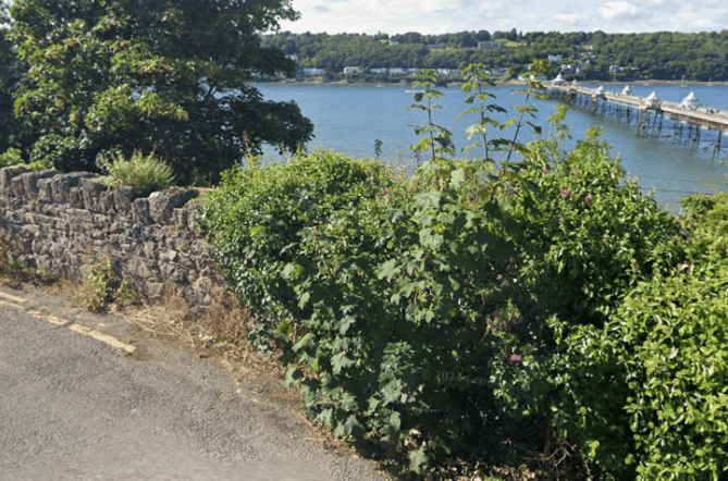 The body of the newborn was found along the shoreline near the Siliwen Road in Bangor. Photo: Google Maps