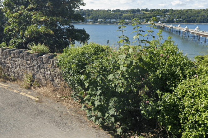 The body of the newborn was found along the shoreline near the Siliwen Road in Bangor. Photo: Google Maps