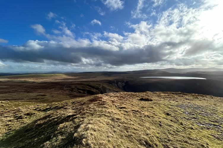 Glaslyn Nature Reserve. Photo: Mel Fansa