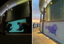 Aberystwyth celebrates marine heritage with Bandstand artwork