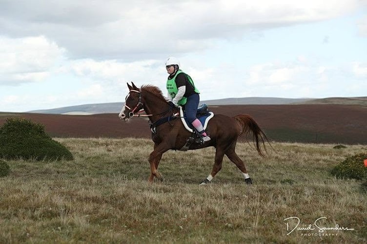 Mel Bradley and Munchkin at the Dragon's Flame endurance ride