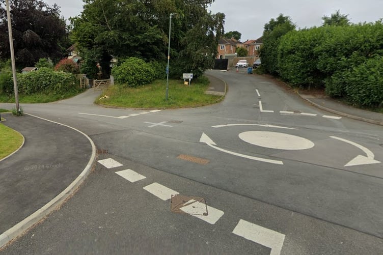 Piercefield Lane