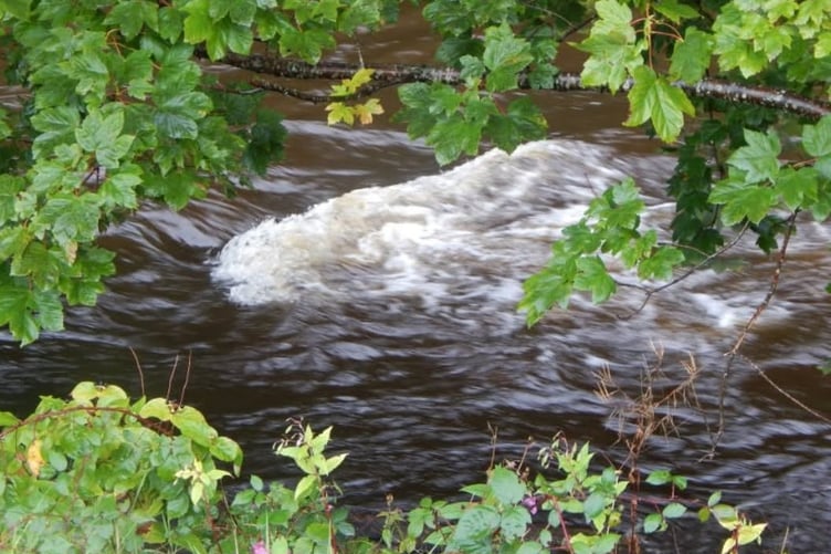 Fresh water on the Teifi in Llandysul by Robert Winter