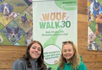 Gwynedd dog owners asked to walk 30 miles in 30 days for charity
