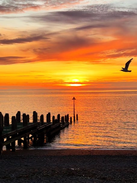 Beach sunset