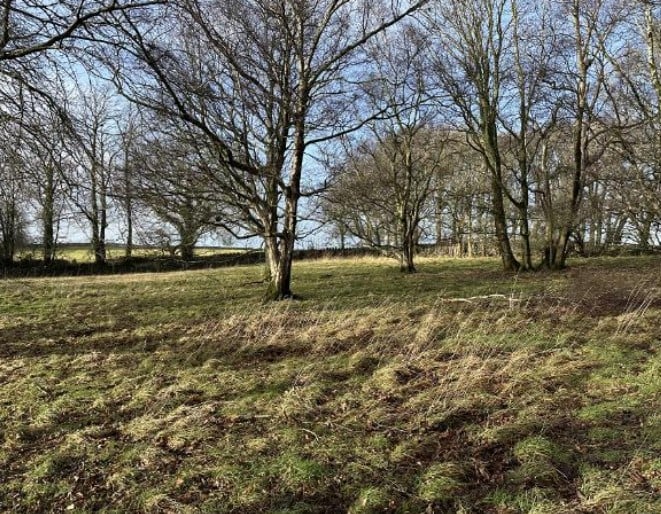 Proposed glamping site at Caerhun near Bangor. Photo: Gwynedd Council plans