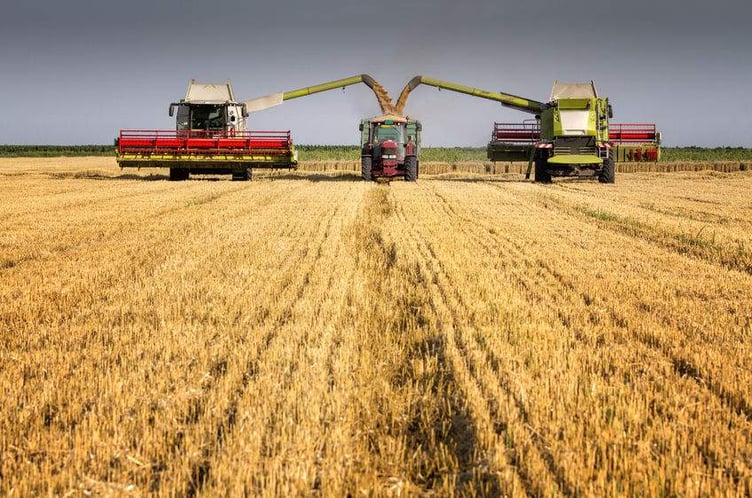 A harvest on a farm