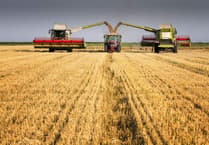 Wales farmers receive £152 million in advance payments