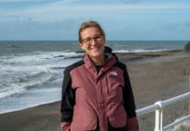 Aberystwyth researcher receives Royal Society fellowship